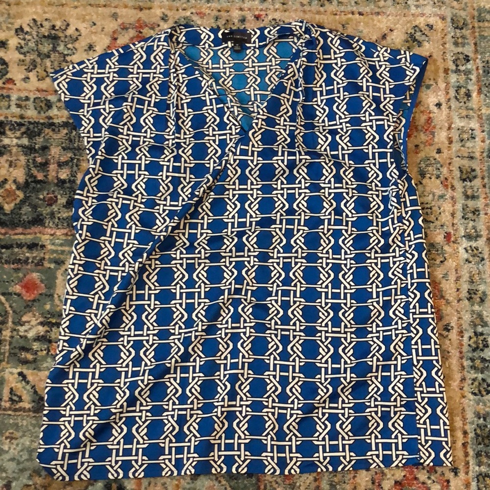 The Limited Blouse
